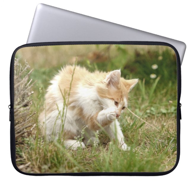 Foto de gato , animales fundas de laptops. (Frente)