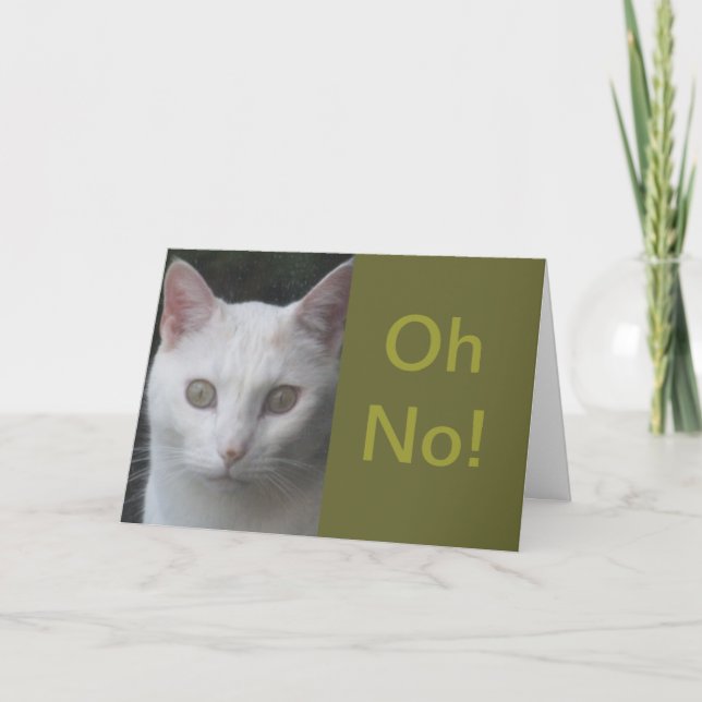 Foto de gato blanco humorística, mejor tarjeta (Anverso)
