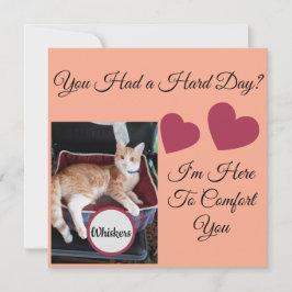 Foto de gato, citas delante y detrás, pata, corazó