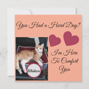 Foto de gato, citas delante y detrás, pata, corazó