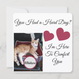 Foto de gato, citas delante y detrás, pata, corazó