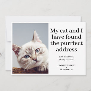 Foto de gato de mascota Nueva dirección que hemos 