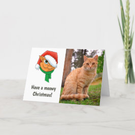 Foto de gato de Navidad
