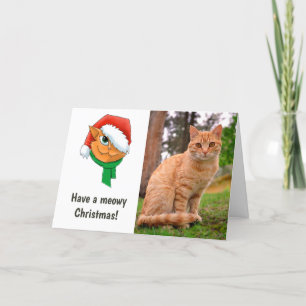 Foto de gato de Navidad