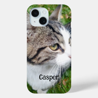 Foto de gato mascota lindo Apenas hay funda para i