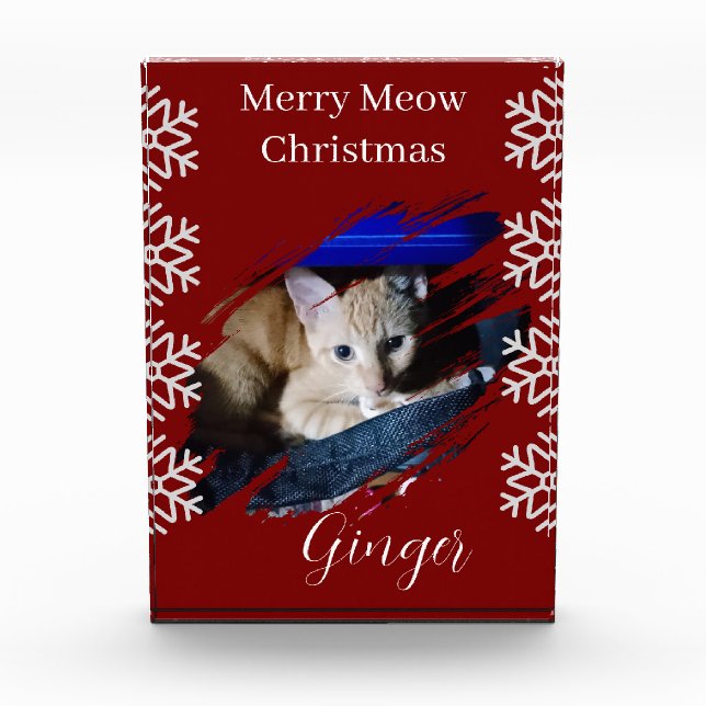 Foto de gato naranja personalizar texto  (Anverso)