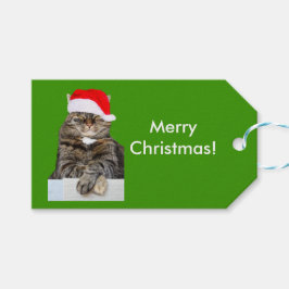 Foto de gato navidad en etiqueta de regalo de Sant