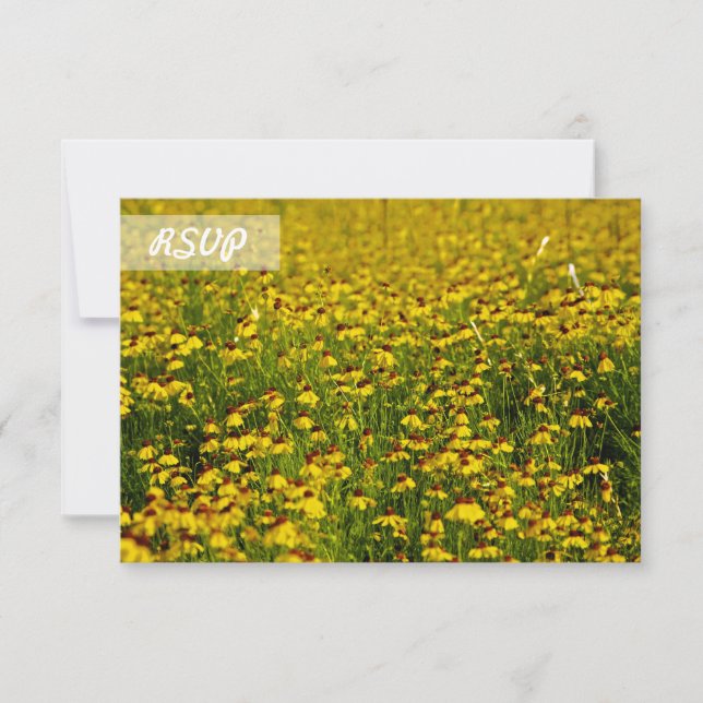 Foto de girasol RSVP en tarjetas negras (Anverso)