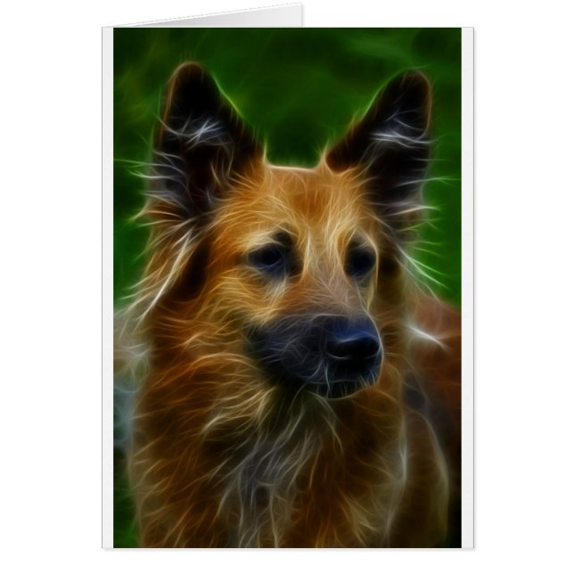 Foto de GSD German Shepherd (Frente)