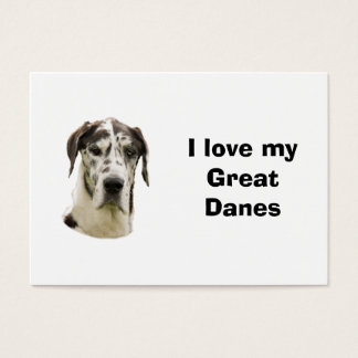 Foto de Halequin Great Dane mascota