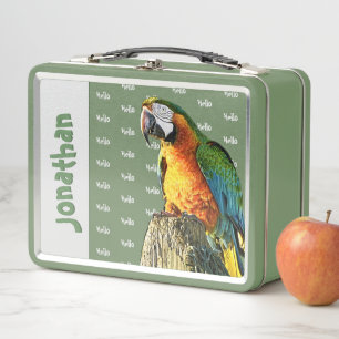 Foto de "Hola" Naranja Verde azulado de Loro Amari