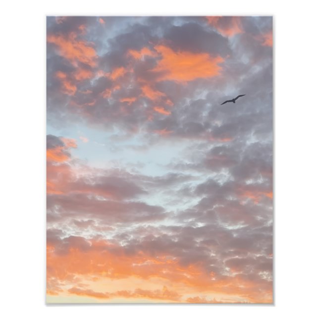 Foto de impresión de pájaro volando en nubes rosad (Frente)