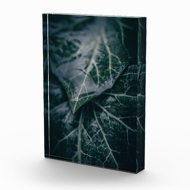 Foto de Ivy Nature (Derecha)
