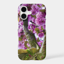 Foto de la corona del árbol rosado de verano -