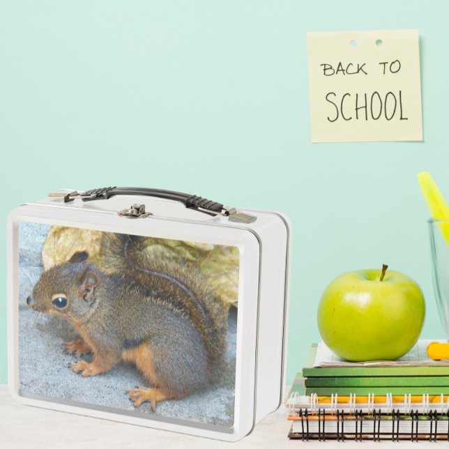 Foto de la naturaleza de la ardilla de Douglas (In Situ School)