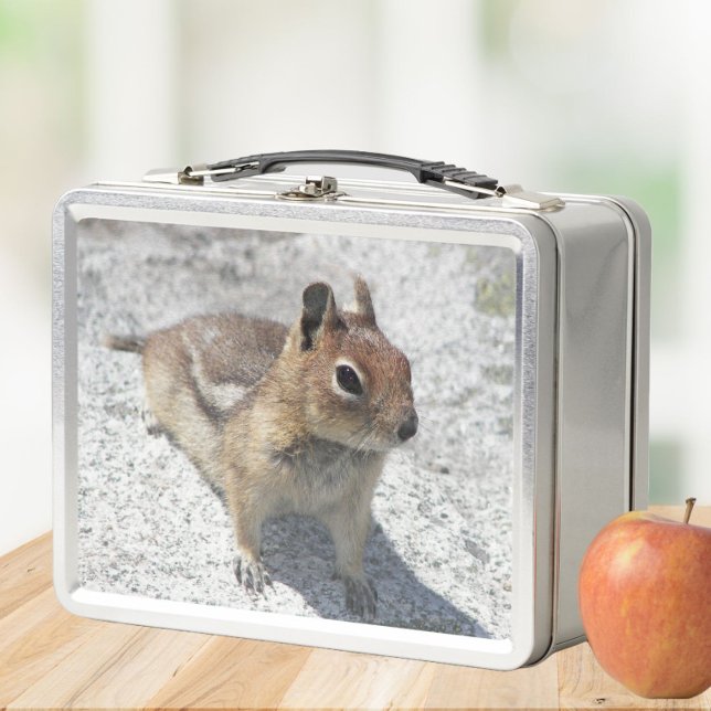 Foto de la naturaleza de la ardilla terrestre (In Situ Apple)