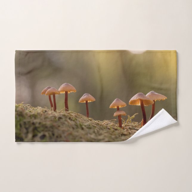 Foto de la naturaleza de los hongos pequeños (Toalla de mano)