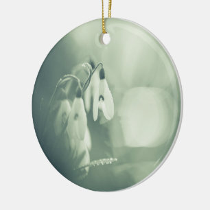 Foto De La Naturaleza De Snowdrop Ornamento Cerám