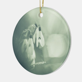 Foto De La Naturaleza De Snowdrop Ornamento Cerámi