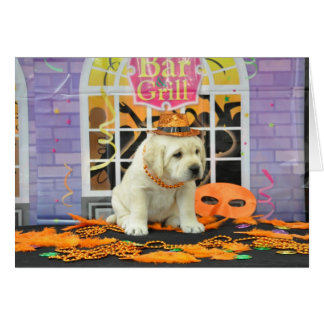 Foto de la semana 5 de la ráfaga