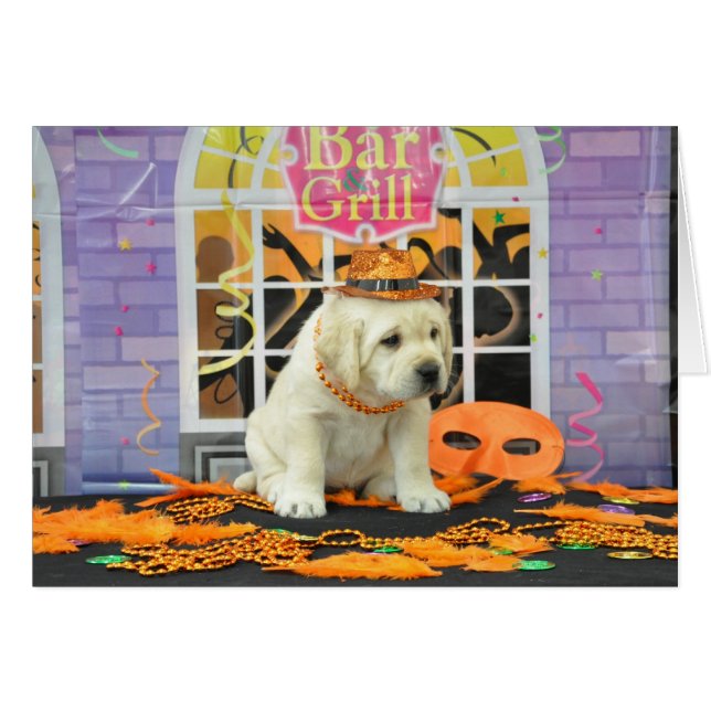 Foto de la semana 5 de la ráfaga (Anverso (Horizontal))