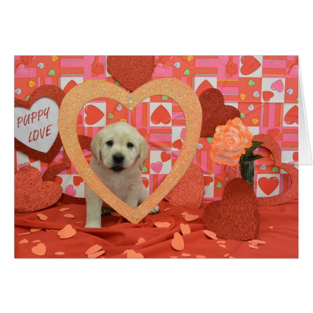 Foto de la semana 6 de la ráfaga (Anverso (Horizontal))