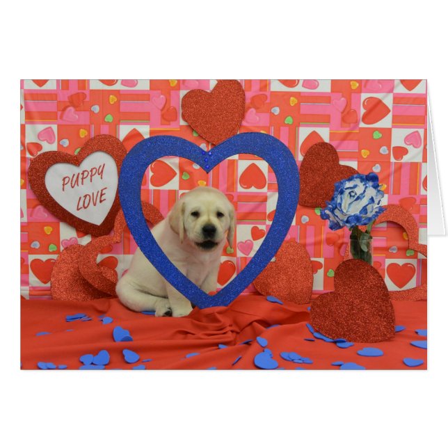 Foto de la semana 6 de la ventisca (Anverso (Horizontal))