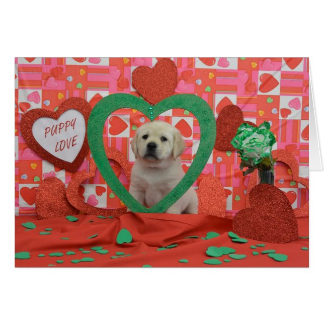 Foto de la semana 6 del tornado (Anverso (Horizontal))