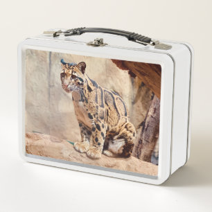 foto de leopardo nebuloso naturaleza vida silvestr