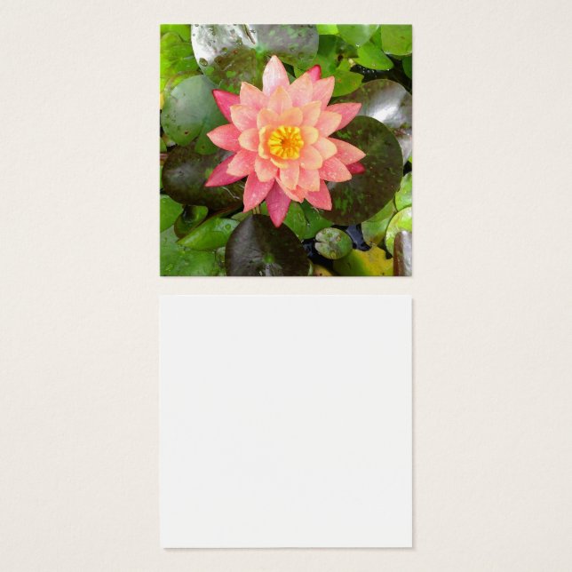 Foto de lirio rosa (Anverso y reverso)