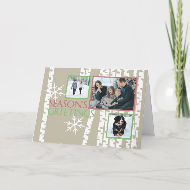 Foto de los árboles de abedul del navidad (Anverso)