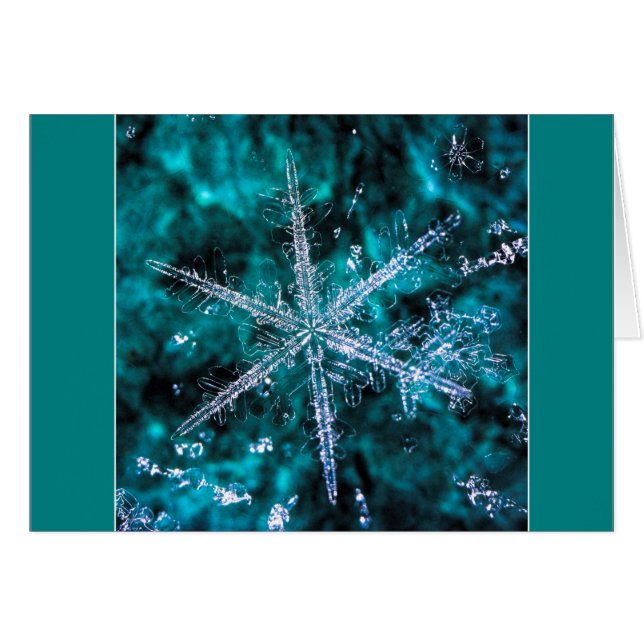 Foto de macro Snowflake Añadir su propia tarjeta d (Anverso (Horizontal))