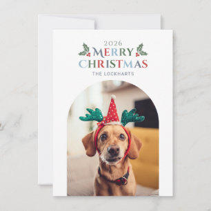 Foto de mascota familiar Feliz Navidad Muérdago