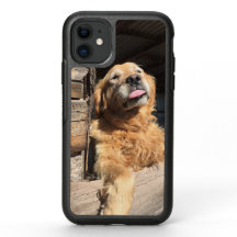 Foto de mascota familiar personalizada adorable re
