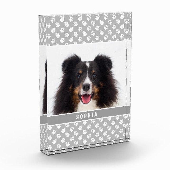 Foto de mascota personalizada con patas blancas so (Izquierda)