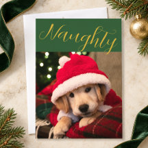 Foto de mascota traviesa de Navidad en oro verde e