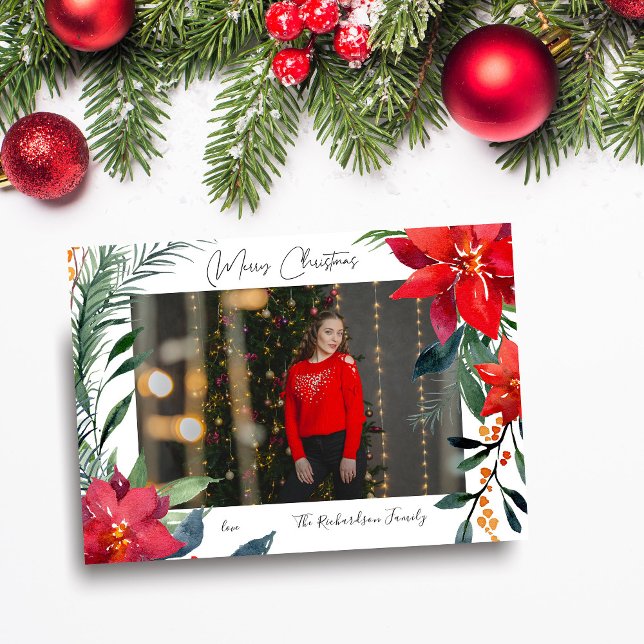 Foto de Merry Christmas Poinsettia (Subido por el creador)