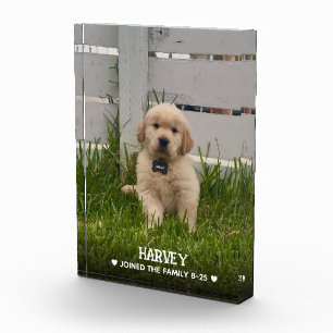Foto de mi perro