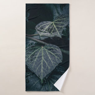 Foto de Moody Ivy Nature
