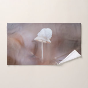 Foto de Mushroom Nature