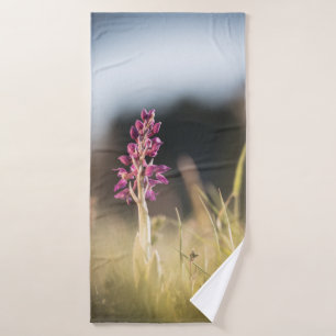 Foto de naturaleza de orquídeas silvestres