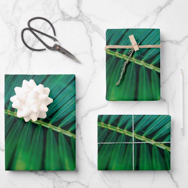 Foto de naturaleza tropical de frondosas de hojas  (Anverso)