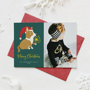 Foto de Navidad de Corgi con Sombrero de Santa Pin