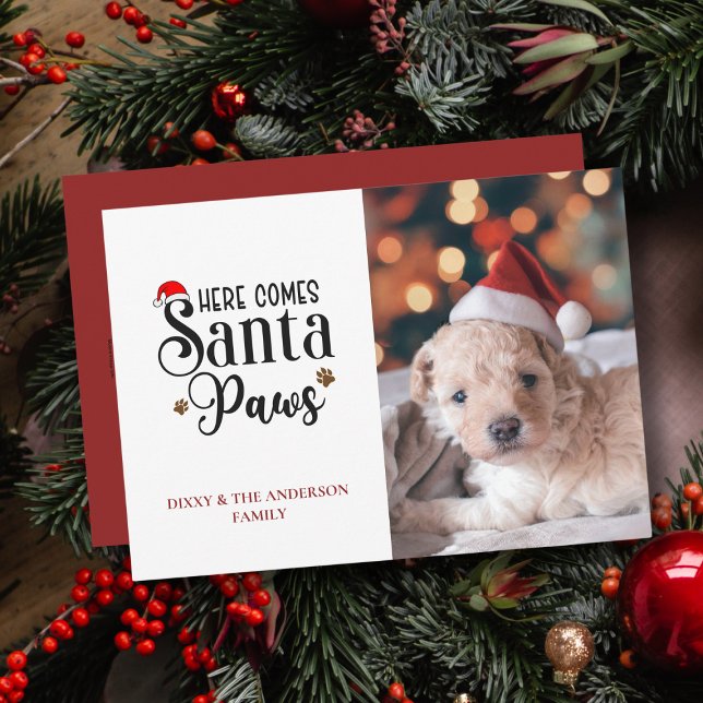 Foto de Navidad de Cute Here Comes Santa Paws Perr (Subido por el creador)