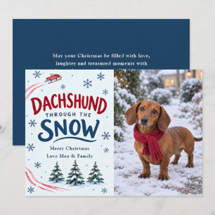 Foto de Navidad de Dachshund a través de la nieve