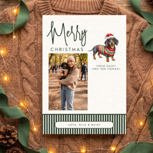 Foto de Navidad de mamá de perro Dachshund
