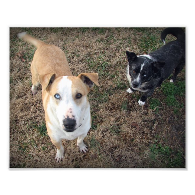 Foto de ojos azules y marrones (Frente)