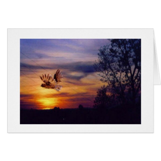 Foto de Owl Sunset (Anverso (Horizontal))