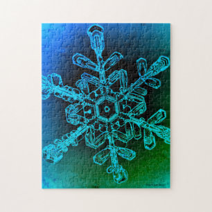 Foto de paro de nieve azul y verde rompecabezas