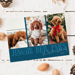 Foto de perro azul turquesa de Navidad con Jingle